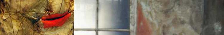 Kopfbanner